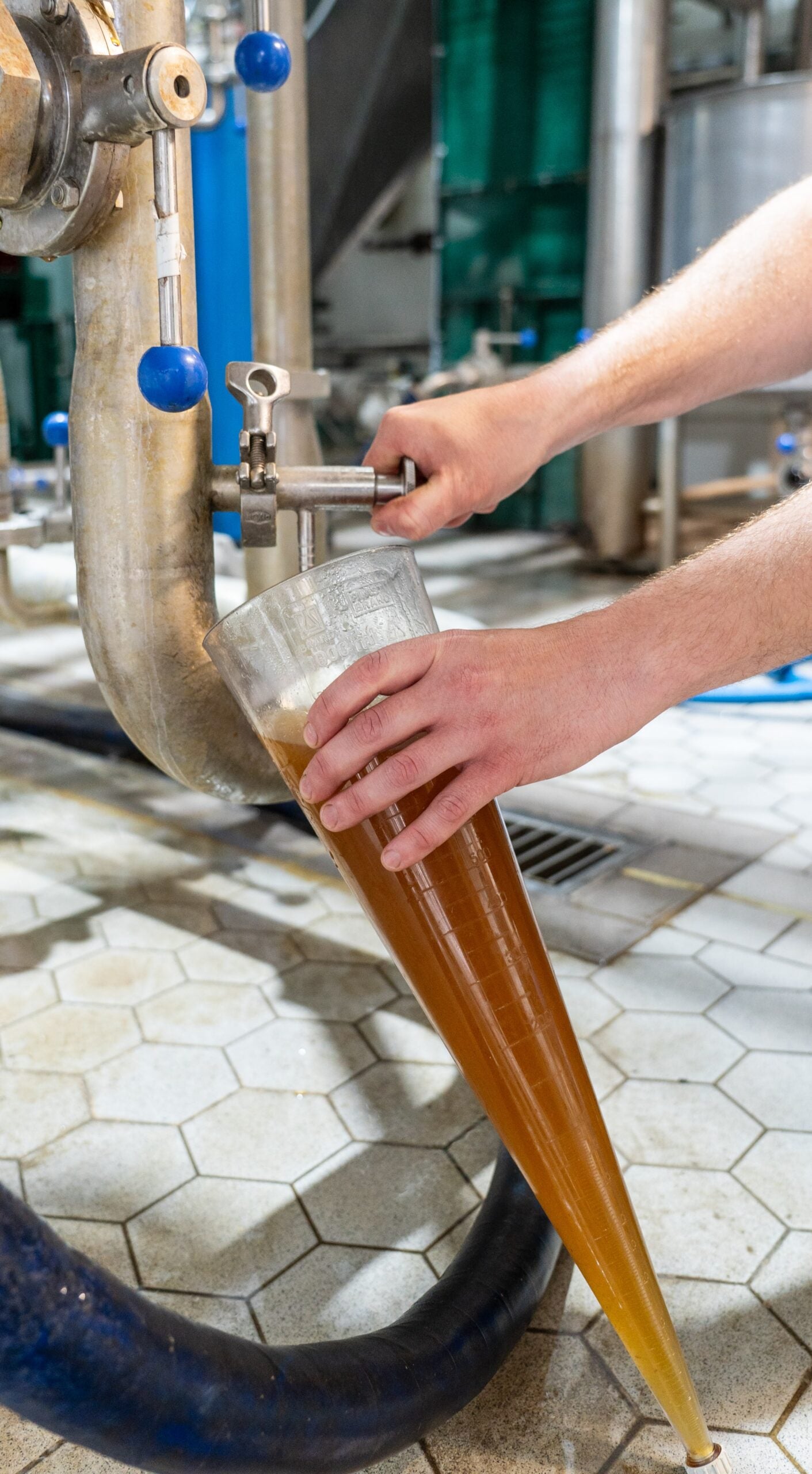 Day with Head Brewer