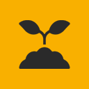 Planting the Seeds: 8 Acres of Opportunity